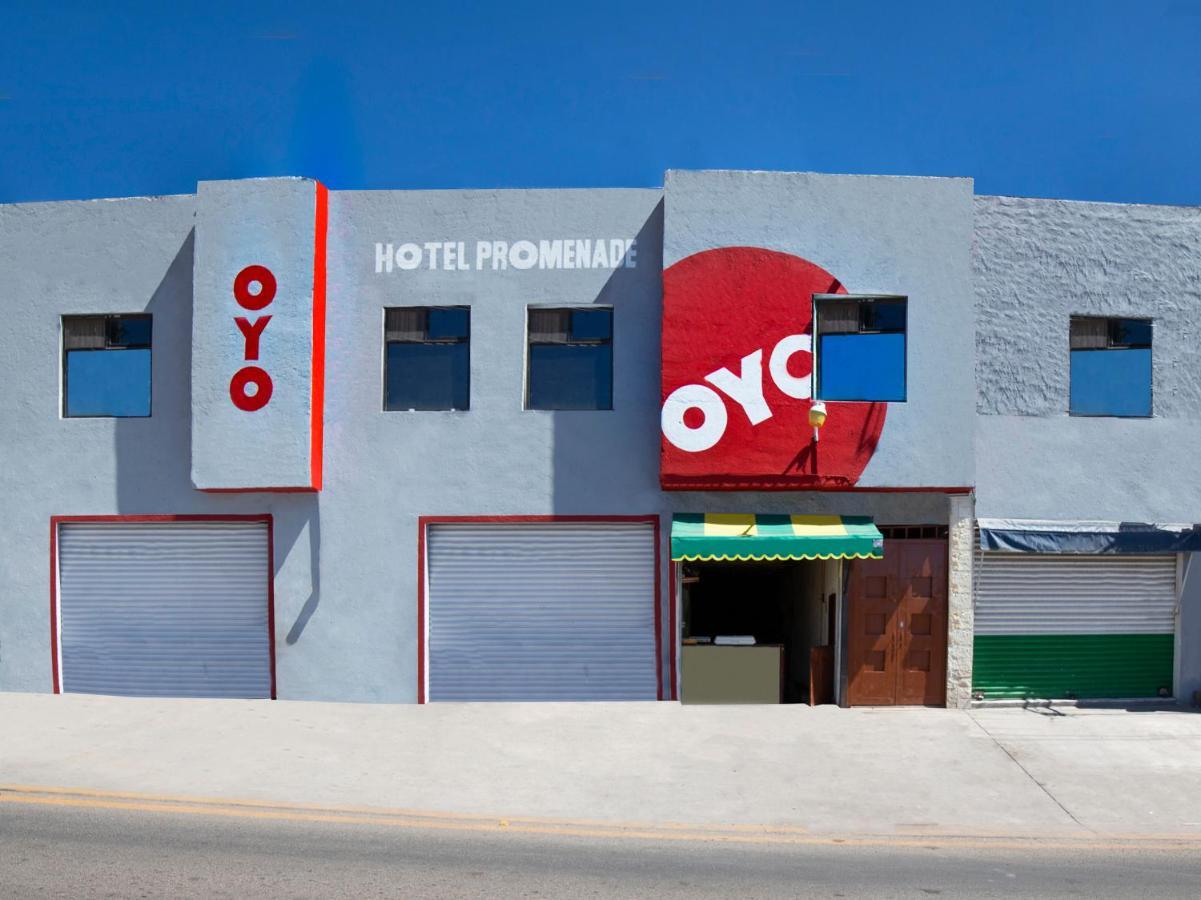 Oyo Promenade,Terminal Central De Autobuses De กัวนาฮัวโต ภายนอก รูปภาพ